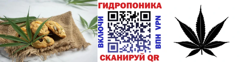 купить закладку  Зеленоградск  Еда ТГК конопля 