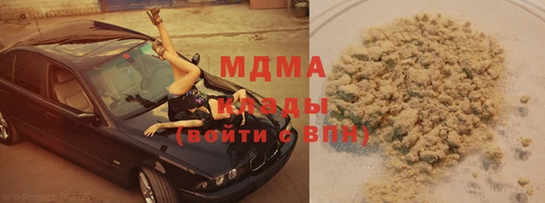 шишки Алзамай
