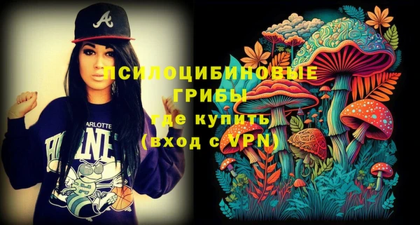 шишки Алзамай