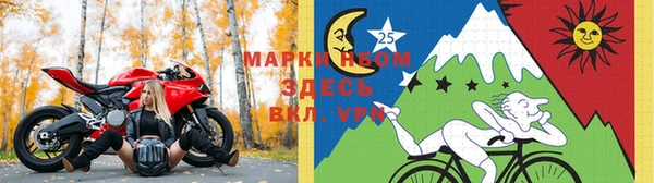 шишки Алзамай