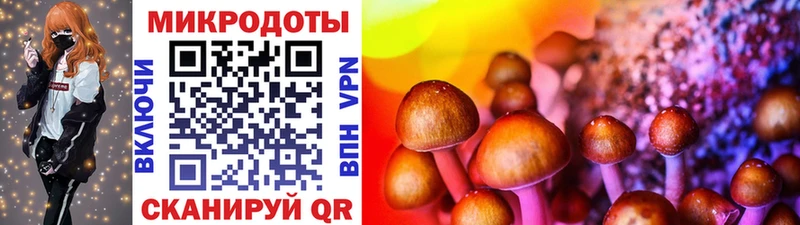 Псилоцибиновые грибы Cubensis  маркетплейс клад  Зеленоградск 