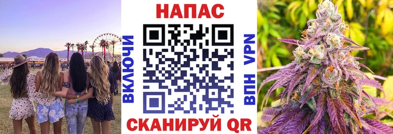 darknet официальный сайт  как найти   Зеленоградск  Бошки марихуана конопля 